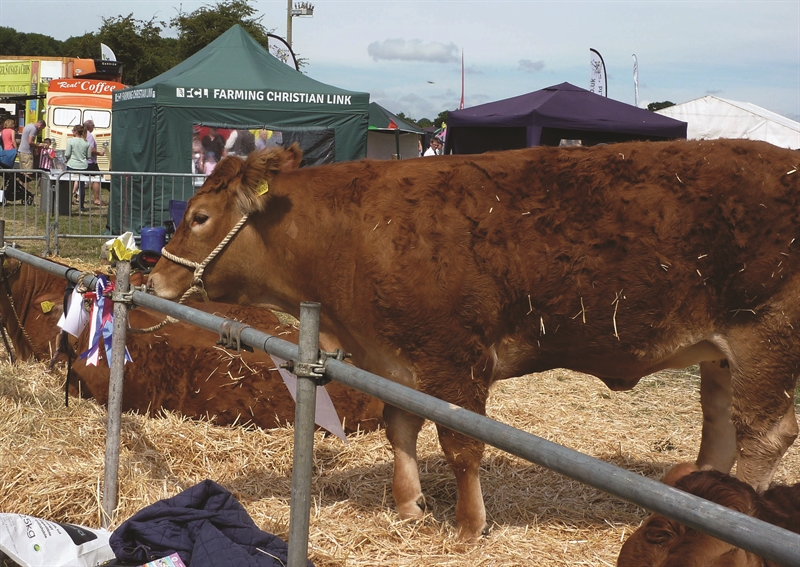 Ploughing in to rural shows