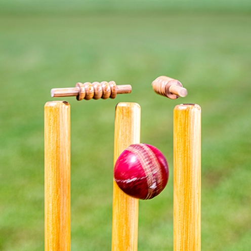 A hundred out to cricket club