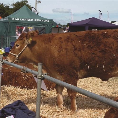 Ploughing in to rural shows